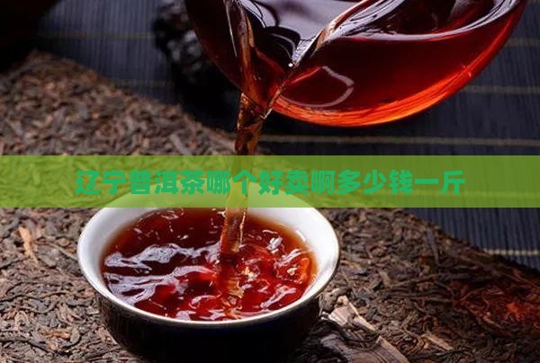 辽宁普洱茶哪个好卖啊多少钱