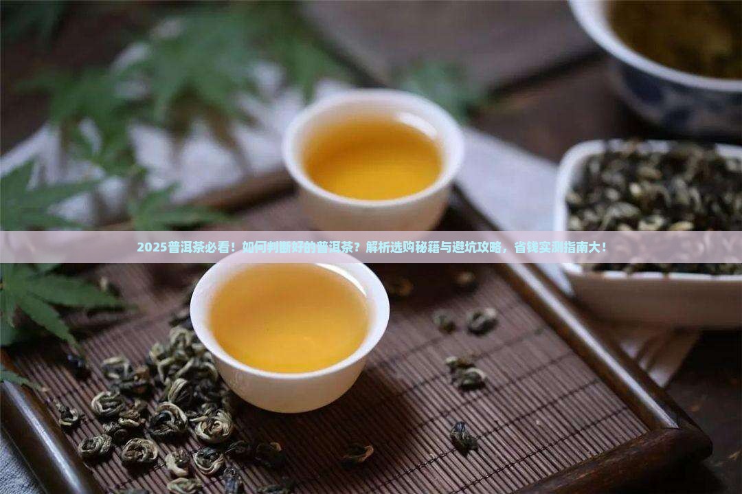 如何判断好的普洱茶