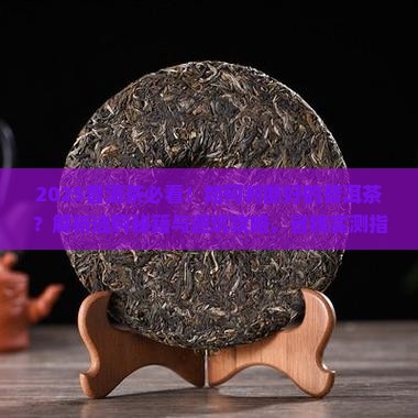 如何判断好的普洱茶