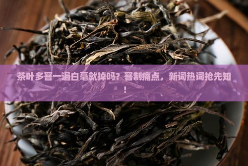 茶叶多窨一遍白毫就掉吗