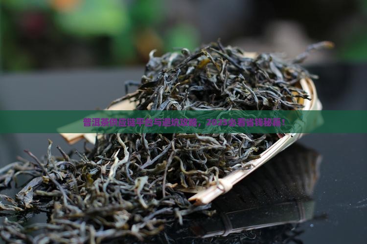 普洱茶供应链平台