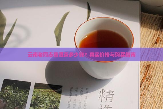云南老同志普洱茶多少钱