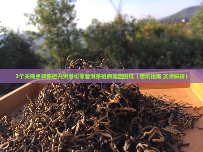贵港可靠普洱茶招商加盟