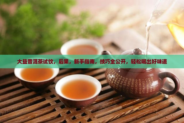 大益普洱茶试饮