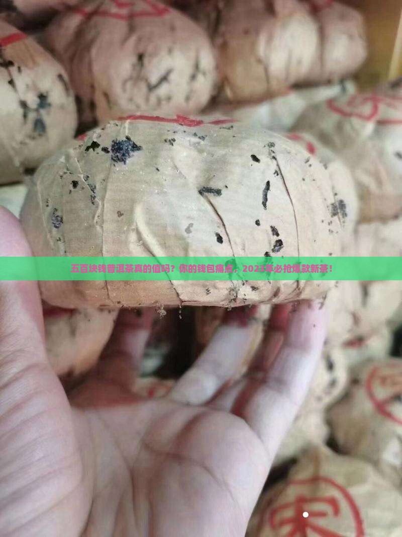 五百块钱普洱茶