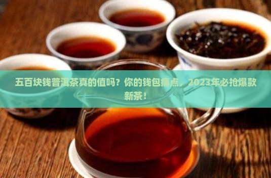五百块钱普洱茶