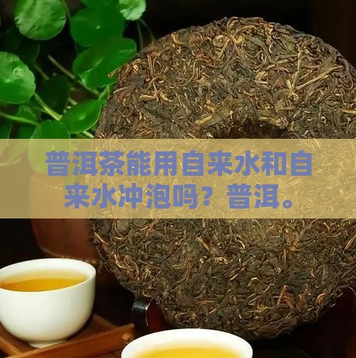 普洱茶能自来水泡吗