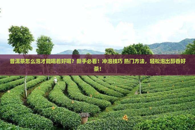 普洱茶怎么泡才能喝着好喝