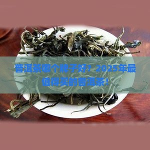 普洱茶的什么牌的好