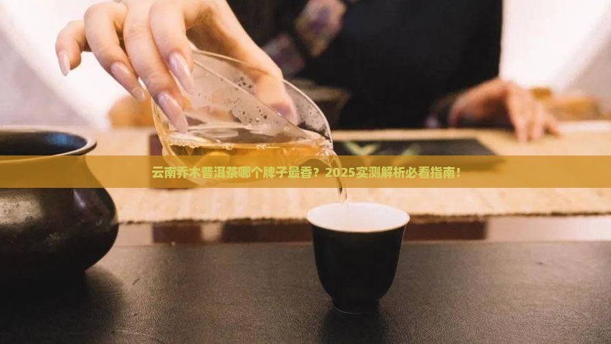 云南乔木普洱茶是什么牌子