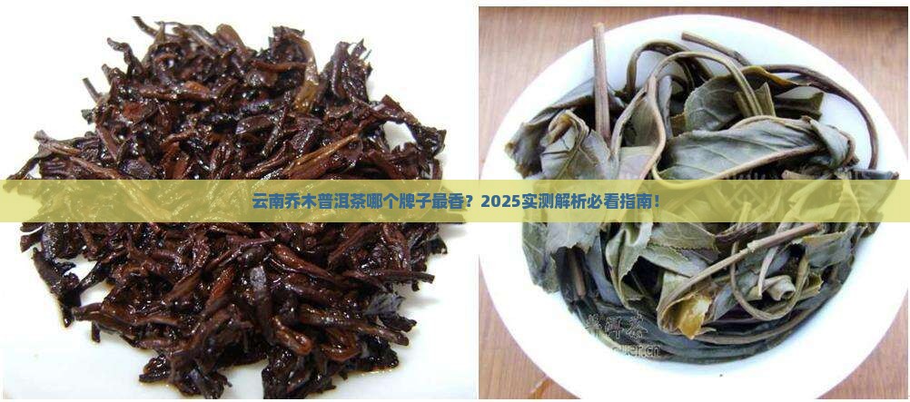 云南乔木普洱茶是什么牌子