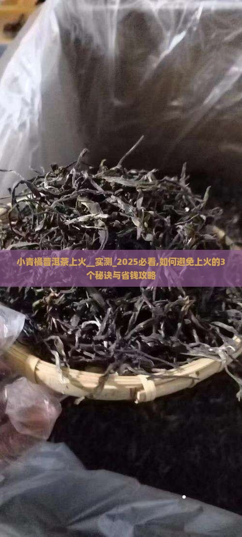 小青橘普洱茶上火