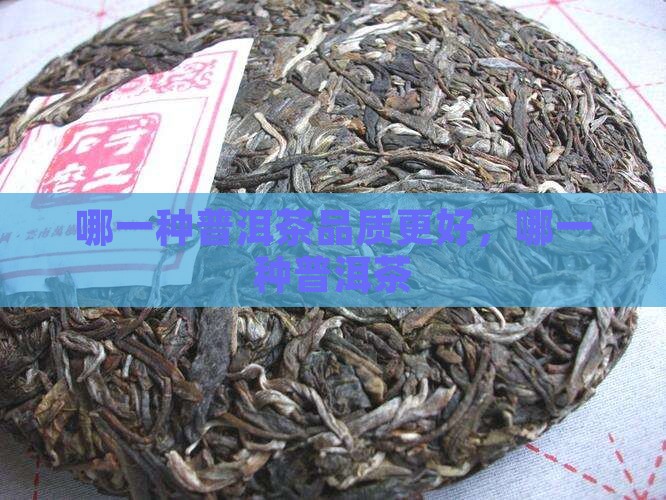 哪一种普洱茶品质更好 哪一种普洱茶品质更好