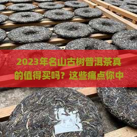 2023年名山古树普洱茶
