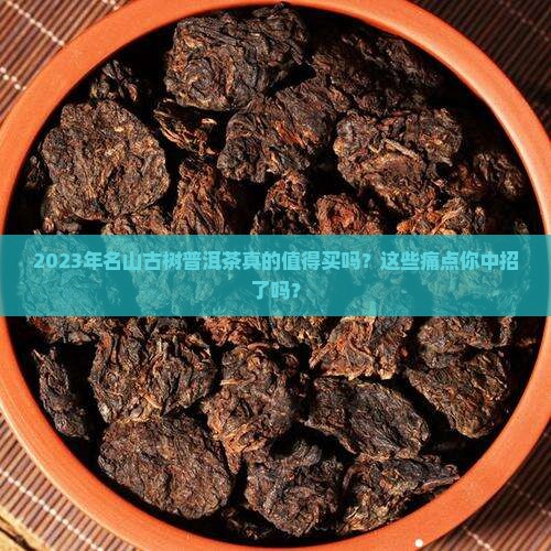 2023年名山古树普洱茶