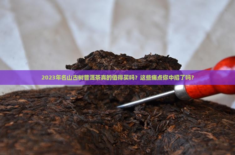 2023年名山古树普洱茶
