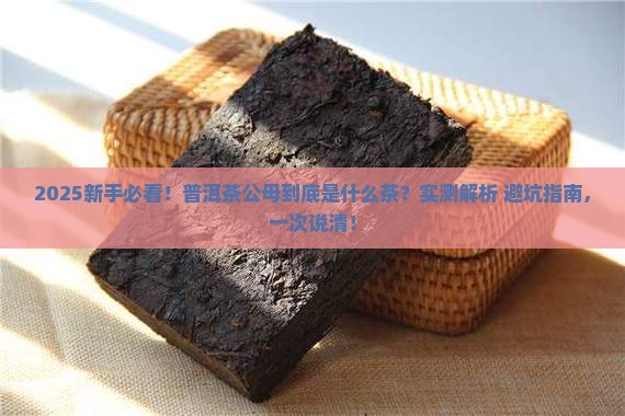 普洱茶公母是什么茶