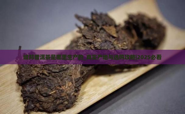 域邦普洱茶是哪里生产的