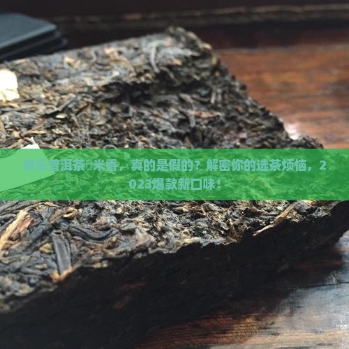 栾氏普洱茶燸米香