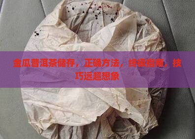 金瓜普洱茶储存