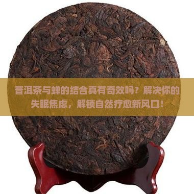 普洱茶和蝉如何结合的功效