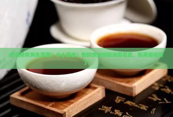 普洱茶有黄色霉菌
