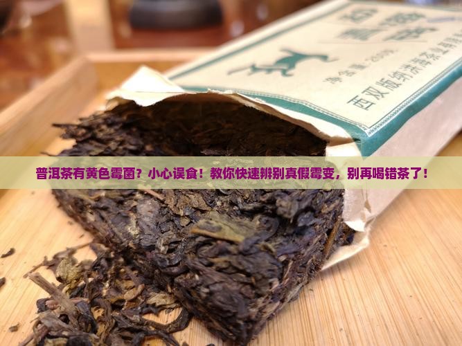 普洱茶有黄色霉菌