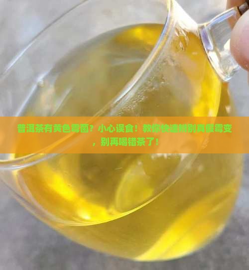 普洱茶有黄色霉菌