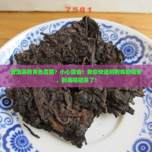 普洱茶有黄色霉菌