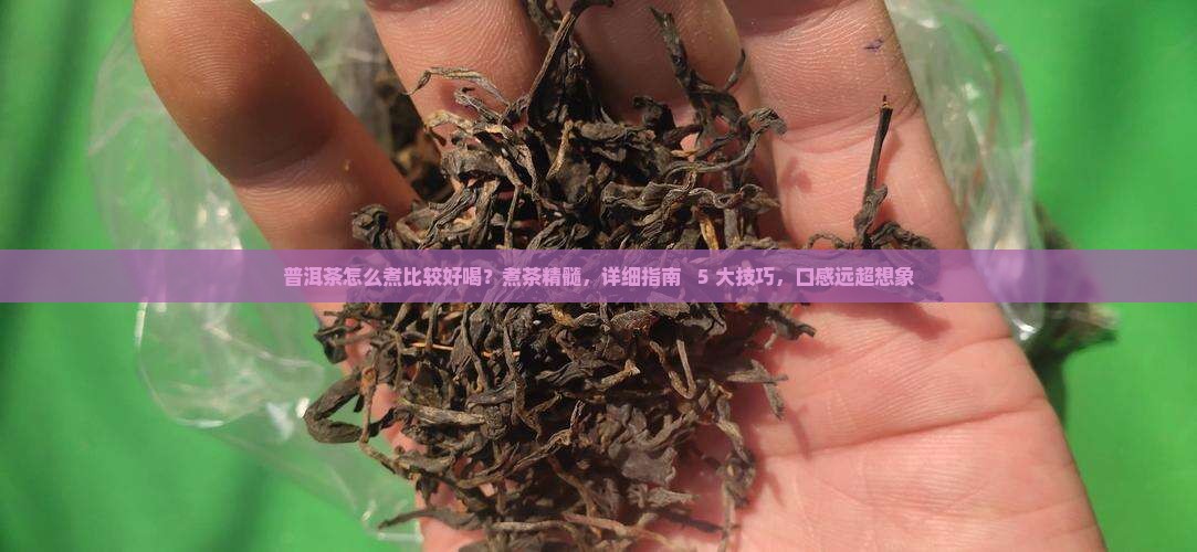 怎么煮普洱茶比较好喝