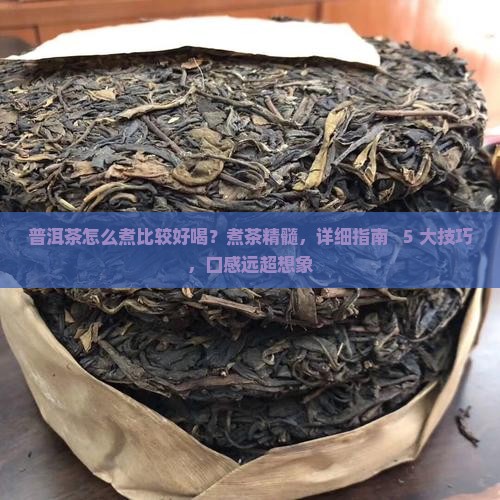 怎么煮普洱茶比较好喝