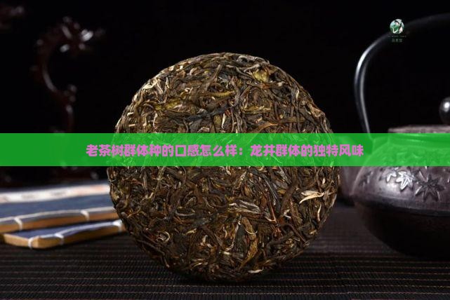 老茶树群体种的口感怎么样
