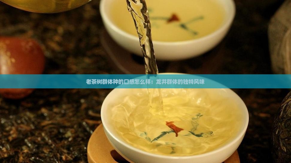 老茶树群体种的口感怎么样
