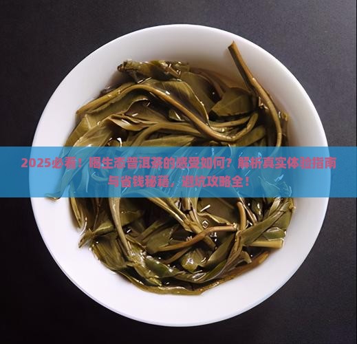 喝生态的普洱茶的感受