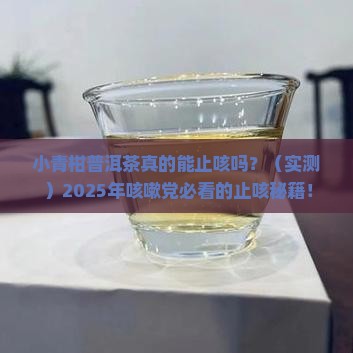 小青柑普洱茶止咳吗
