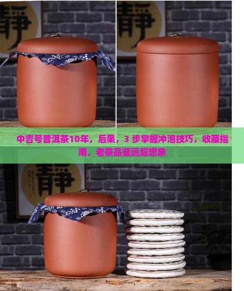中吉号普洱茶10年
