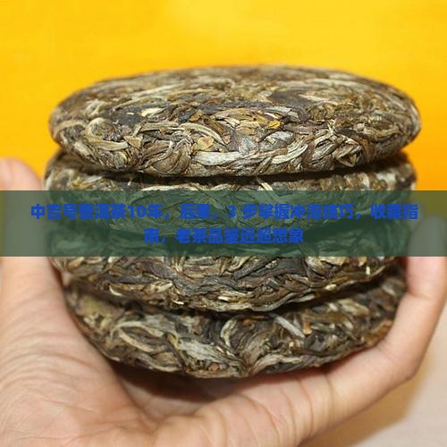 中吉号普洱茶10年