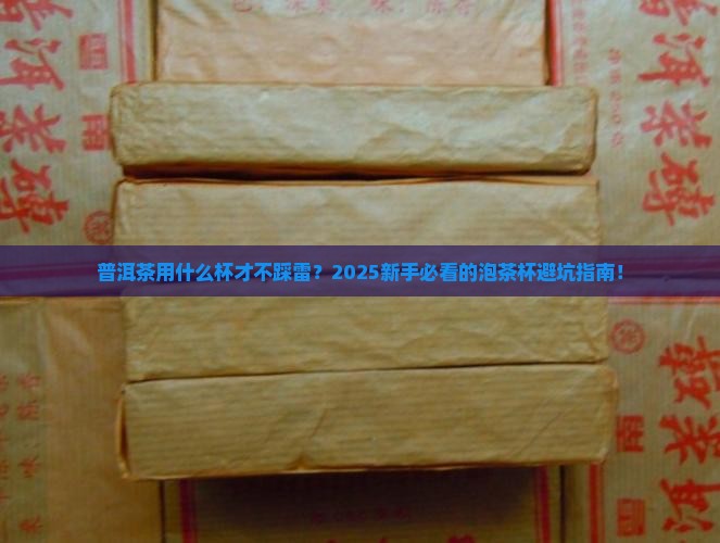 普洱茶什么杯好