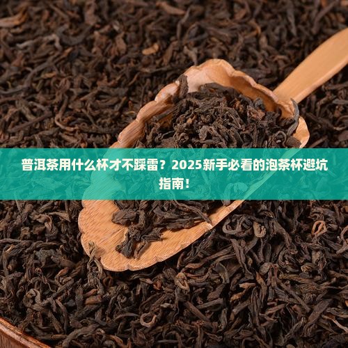 普洱茶什么杯好