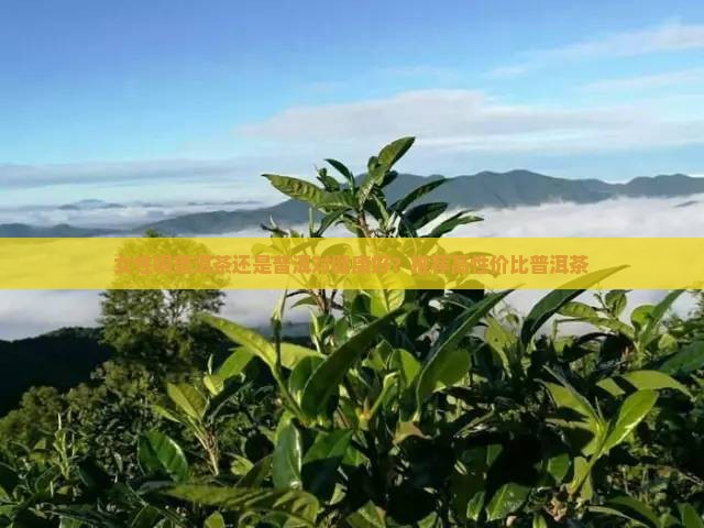 女的喝哪种普洱茶好呢对身体好