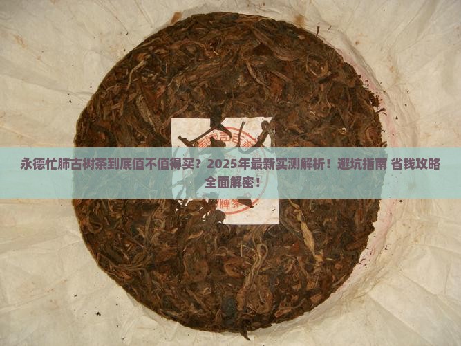 永德忙肺古树茶特点