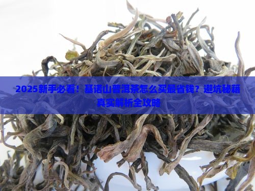 基诺山普洱茶可以买吗现在