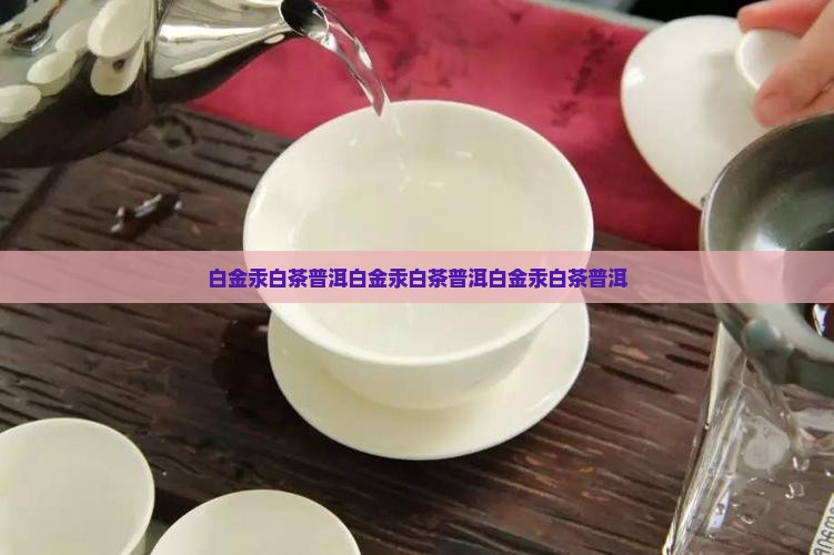 白金汞白茶普洱