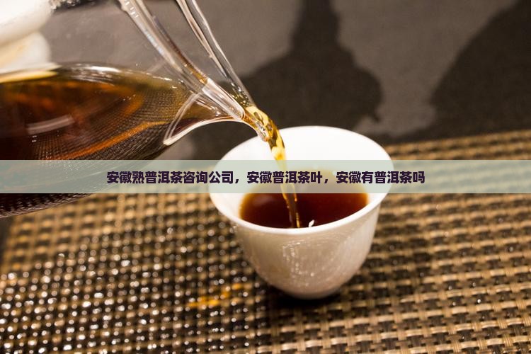 安徽熟普洱茶咨询