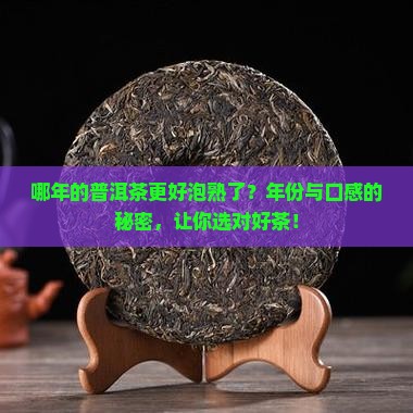 哪年的普洱茶更好泡熟了
