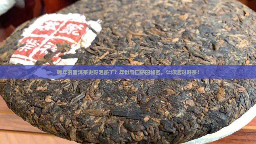 哪年的普洱茶更好泡熟了