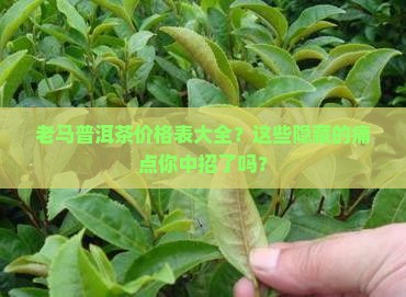 缅甸老马普洱茶价格表大全