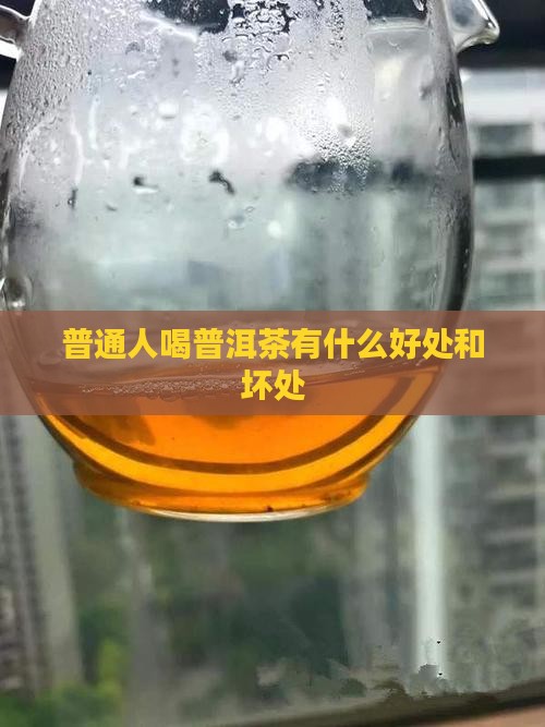 普通人喝普洱茶有什么好处