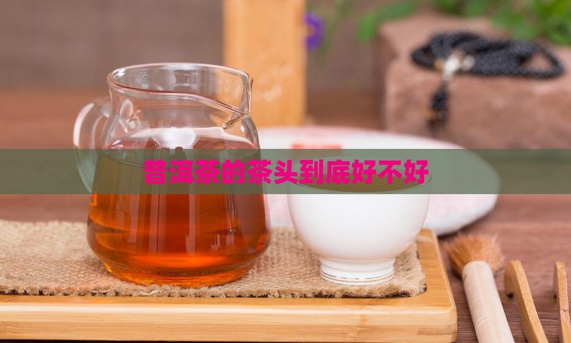 普洱茶的茶头好不好