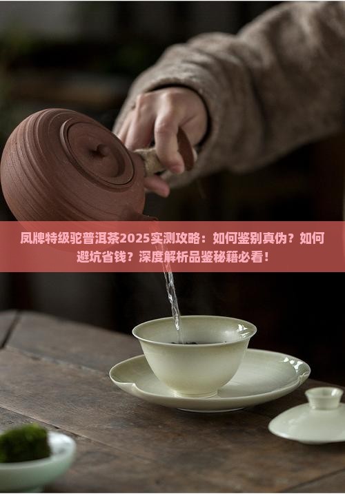 凤牌特级驼普洱茶